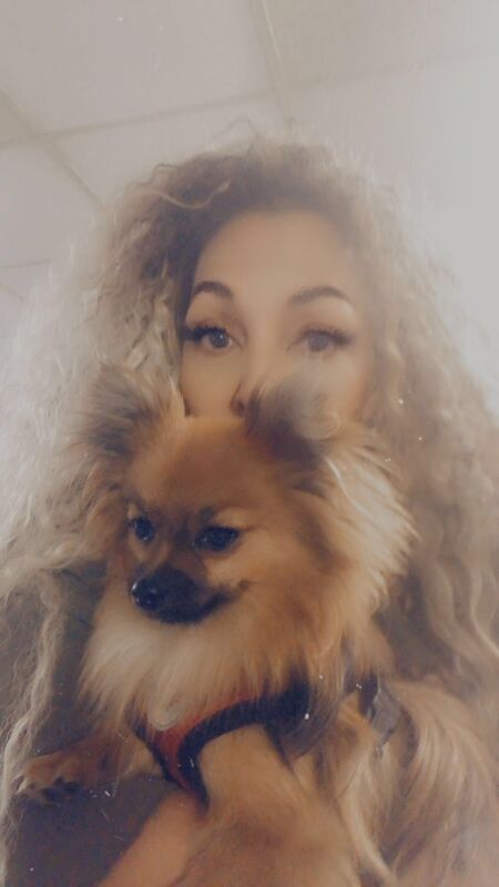 Pomeranian puppies for sale in London, City of London, Greater London – 1 year old - Image 10 of 11