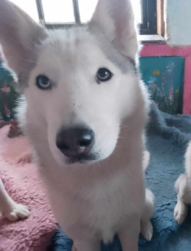 Cristina Chatterjee - Private Seller - Image 2