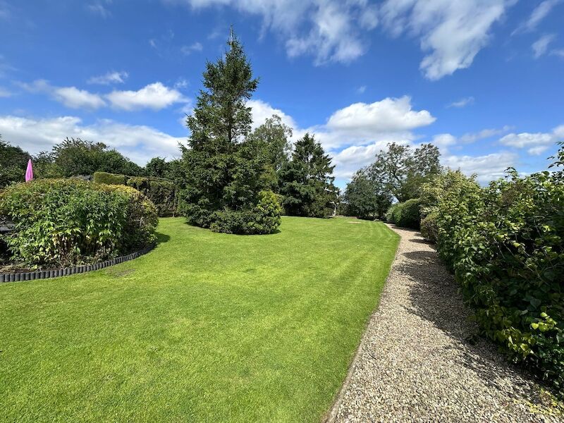 Cristina Chatterjee - Private Seller - Image 14