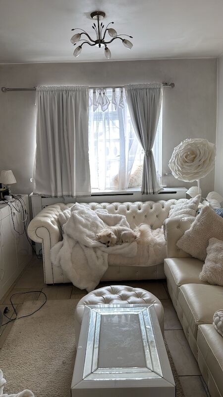 Lorraine Noel - Private Seller in Heston, London  on Pomeranian Owners - Image 1